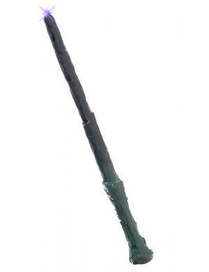 Magic Wand with Light and Sound Witch Fairy or Wizard Costume Accessory Main Image
