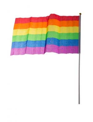 Hand Held 30x45cm Rainbow Flag Decoration