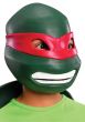 Raphael Boys Teenage Mutant Ninja Turtles Costume Mask