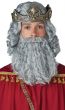 Image of Biblical King Men's Wig and Beard Costume Set - Alternate Photo