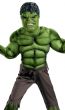 Avengers Hulk Boy's Muscle Chest Costume Close up Image