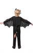 Toothless How to Train Your Dragon The Hidden World Kids Costume Back Image