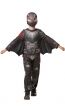 Hiccup Boys Deluxe Battlesuit How to Train Your Dragon The Hidden World Main Image