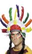 Adult's Native Indian Inspired Multicoloured Feather Headdress Costume Accessory Main Image