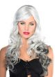 Image of Deluxe Long Curly Grey Ombre Women's Costume Wig - Front View