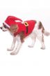 Jolly Red and White Santa Claus Pet Dog Costume