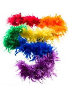 Sydney Mardi Gras Rainbow Feather Boa